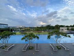 Normanton Park (D5), Apartment #458876141